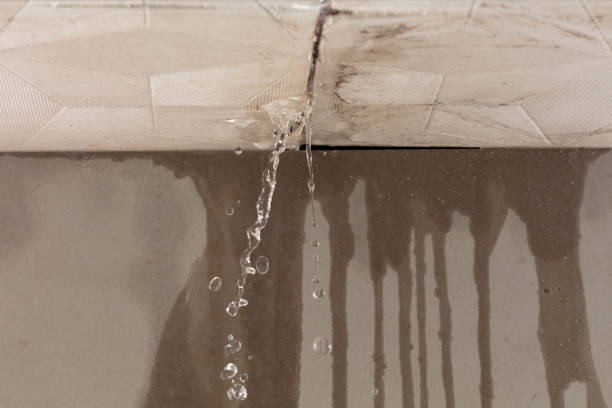 Professional Structural Drying technician working in Perry, KS
